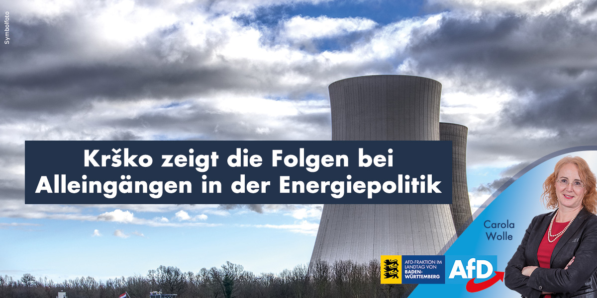 Carola Wolle: Kernkraftwerk Krško zeigt die Folgen bei Alleingängen in der Energiepolitik