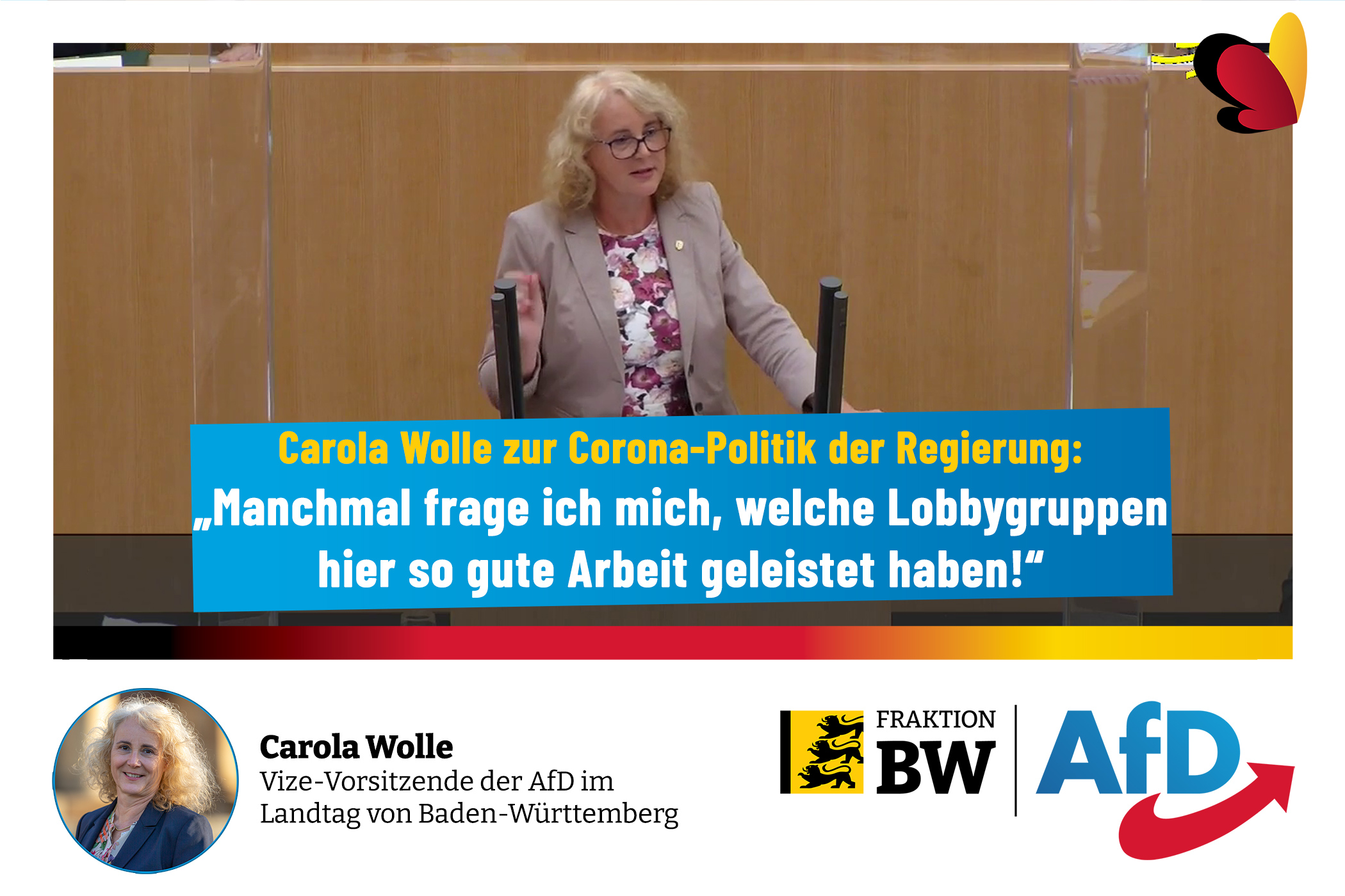 Landtagsrede Carola Wolle: Ihre Maßnahmen dürfen nicht mehr Schaden anrichten als die Krankheit!