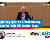 Plenarrede Carola Wolle zum Sozialhaushalt: "Finanzieren Sie die Krebsberatung statt Gender-Gaga!"