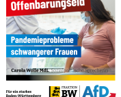 Carola Wolle: Pandemieprobleme schwangerer Frauen sind Offenbarungseid für Sozialminister