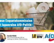 Carola Wolle: Enquetekommission ist lupenreine AfD-Politik