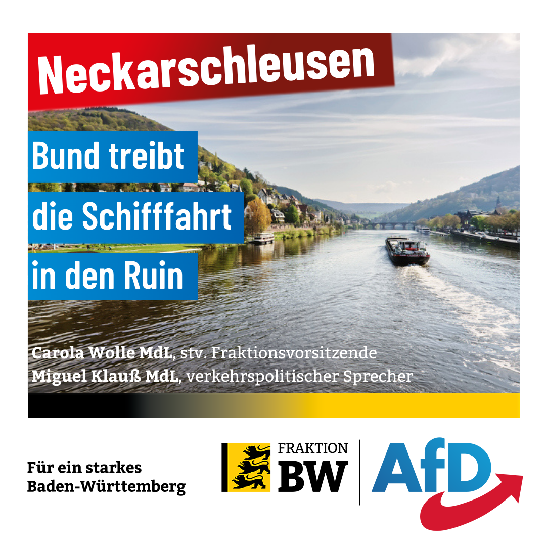 Carola Wolle: Bund treibt Neckarschifffahrt in den Ruin