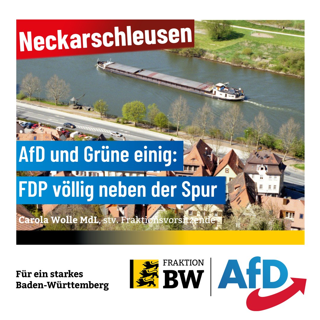Carola Wolle: FDP bei Neckarschleusen völlig neben der Spur