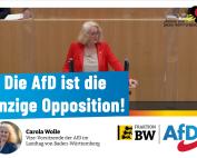 Plenarrede Carola Wolle: Die AfD ist die einzige Opposition