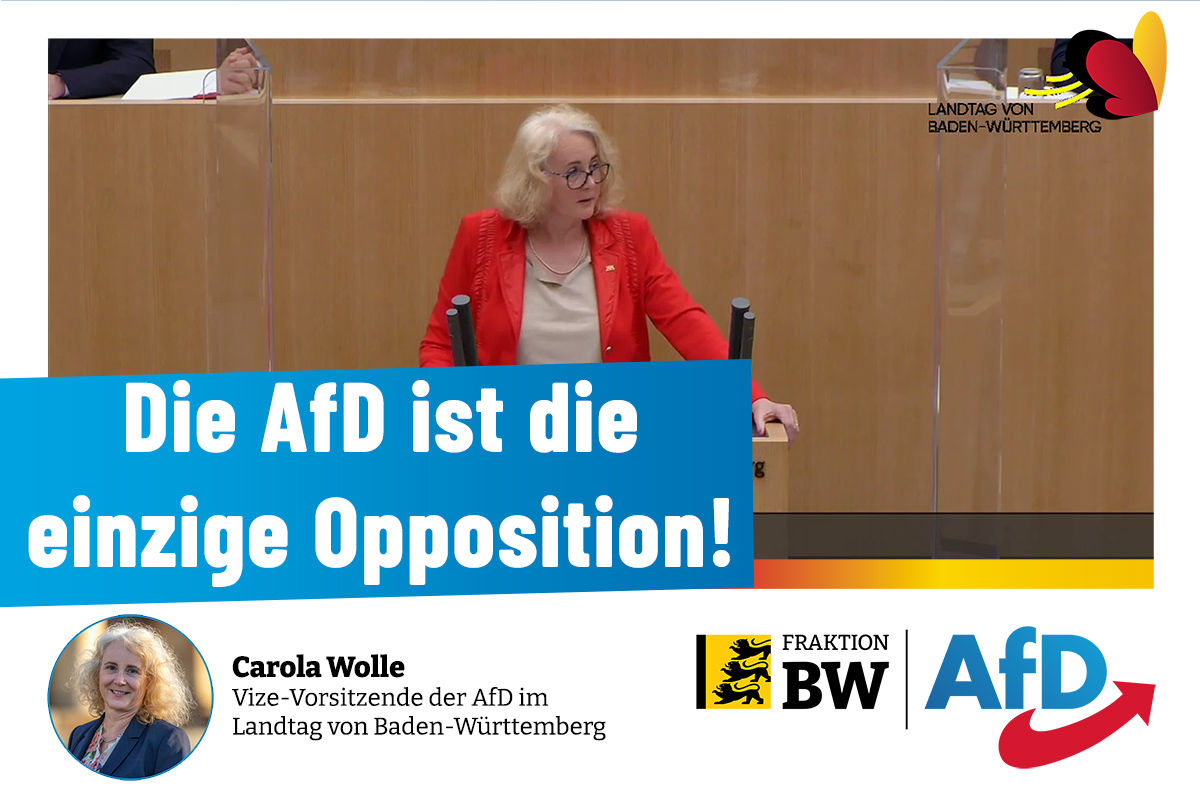 Plenarrede Carola Wolle: Die AfD ist die einzige Opposition