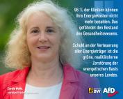 Carola Wolle: Sozialeinrichtungen vor dem Kollaps - und Kretschmann schickt Waschlappen