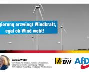 Carola Wolle: Regierung erzwingt Windkraft, egal ob Wind weht!