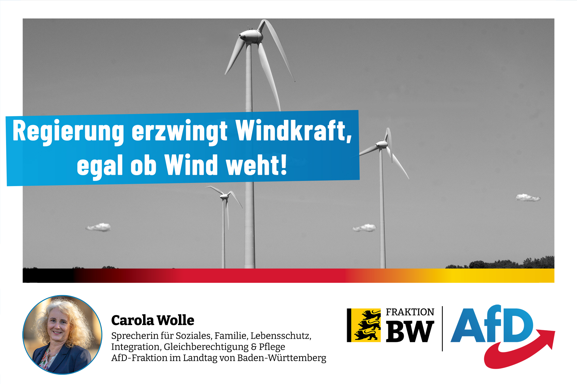 Carola Wolle: Regierung erzwingt Windkraft, egal ob Wind weht!
